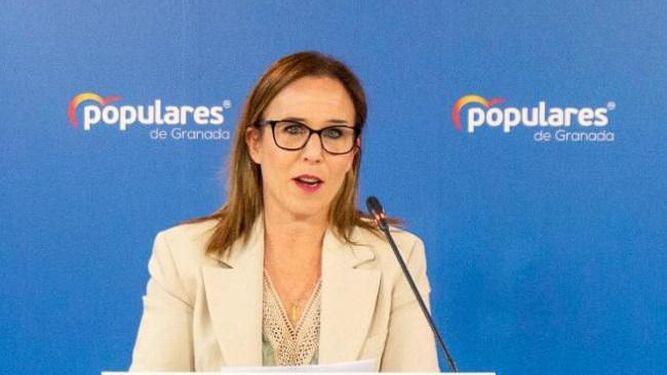 El PP critica el